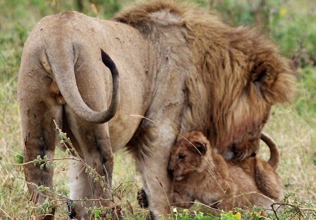 Whatsapp Image 2025 11 12 At 12.18.37 Am (7)