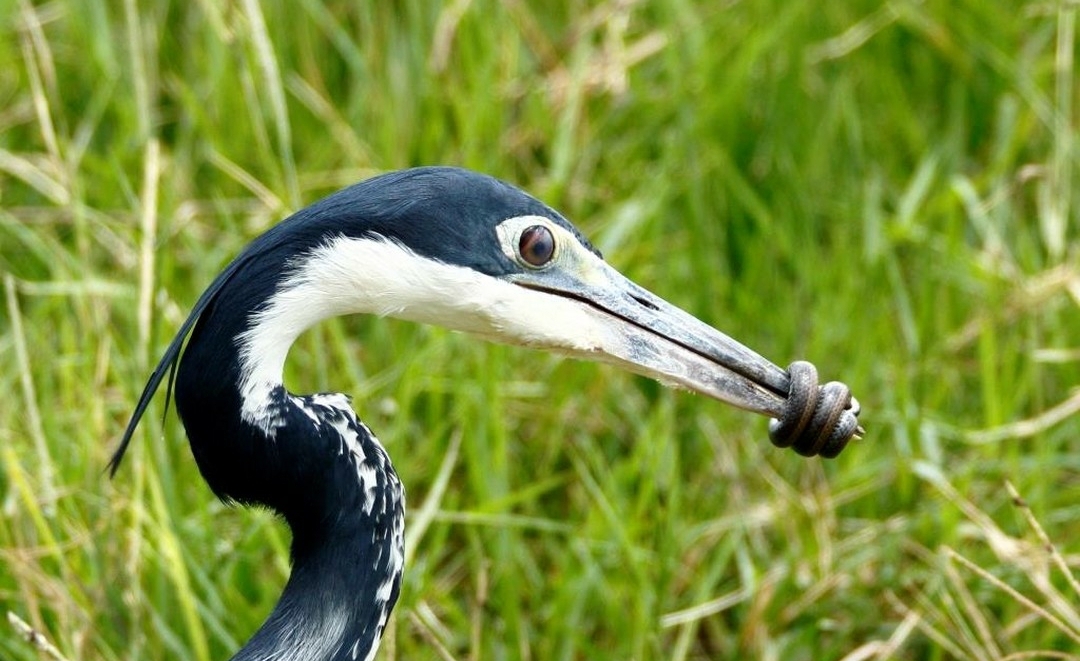 Whatsapp Image 2025 11 12 At 12.18.37 Am (8)