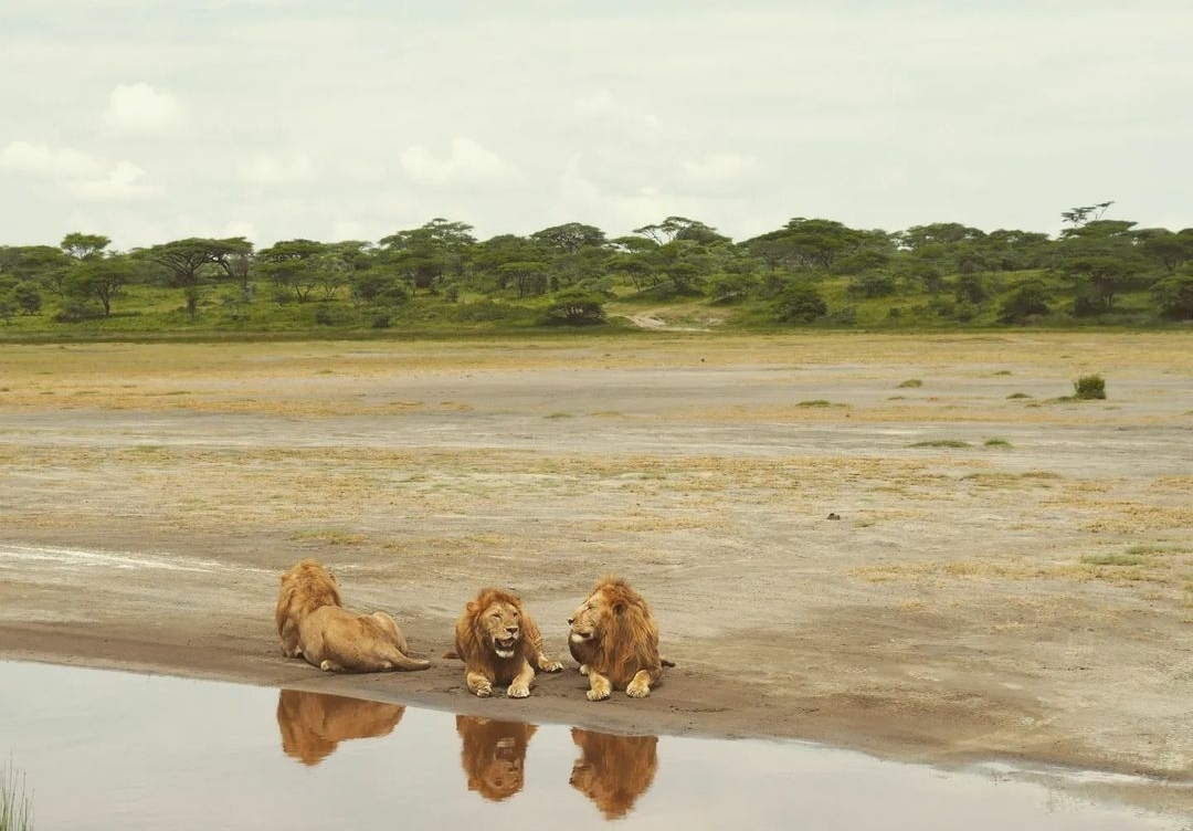 Whatsapp Image 2025 11 12 At 12.18.38 Am (2)