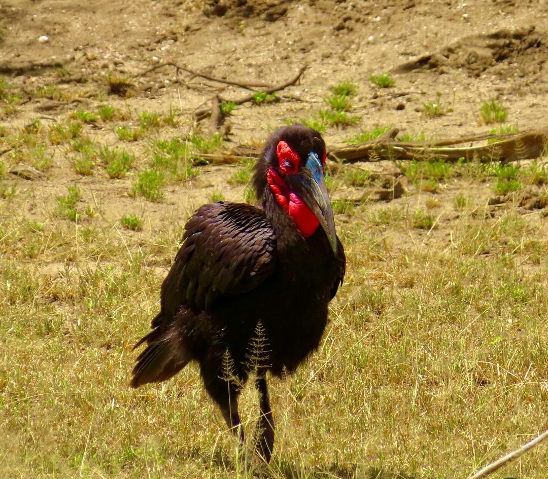 Whatsapp Image 2025 11 12 At 12.18.38 Am (3)