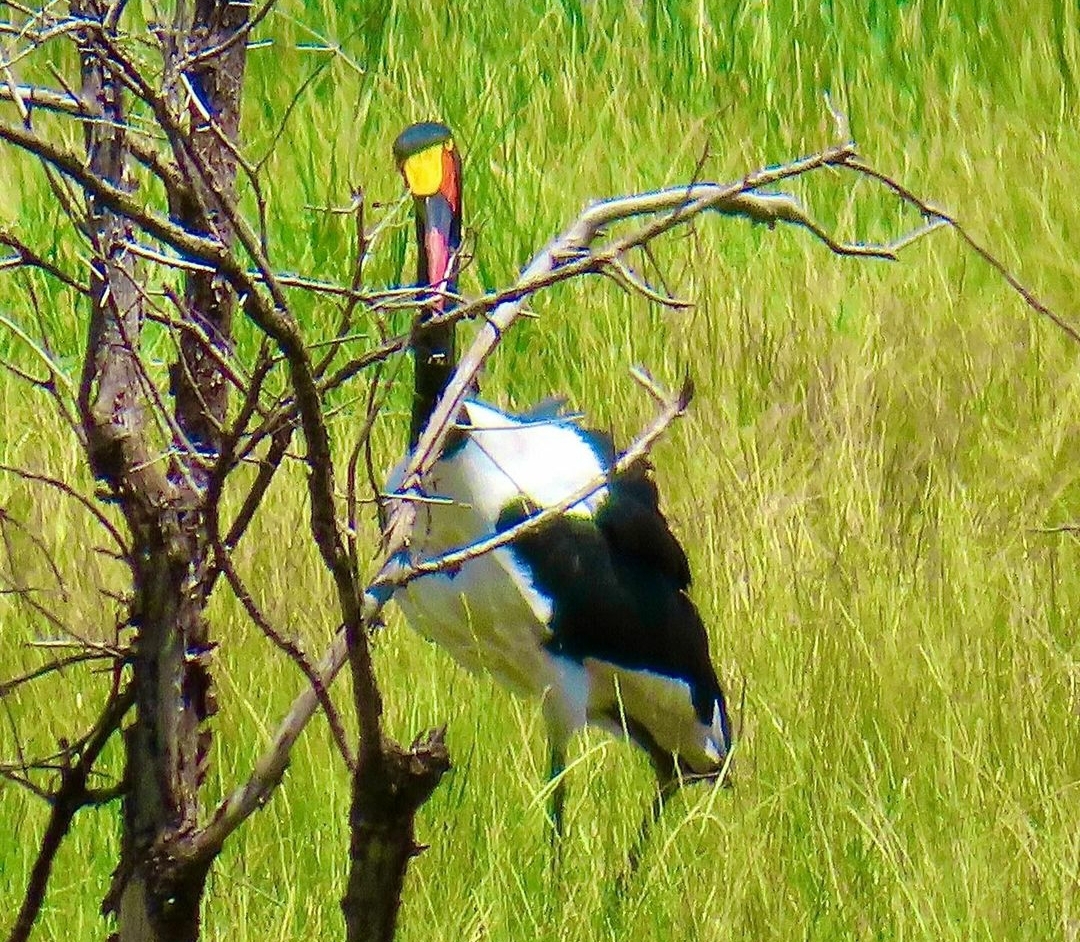 Whatsapp Image 2025 11 12 At 12.18.38 Am (4)