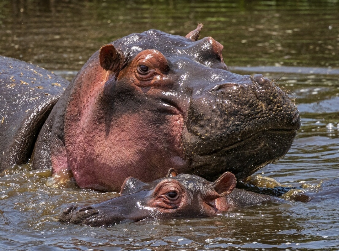 Whatsapp Image 2025 11 12 At 12.18.38 Am