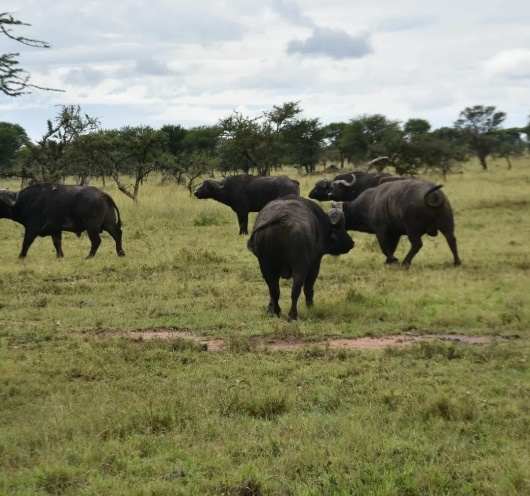 Whatsapp Image 2025 11 13 At 4.16.09 Am (4)