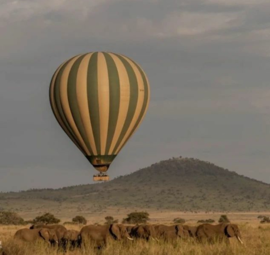 Whatsapp Image 2025 11 13 At 4.16.13 Am (1)