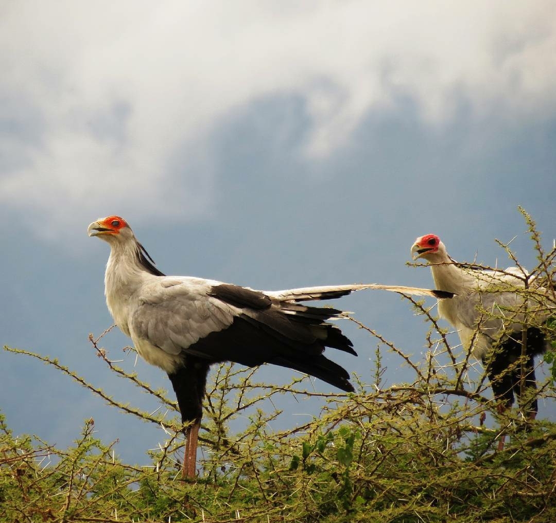 Whatsapp Image 2025 11 13 At 4.16.17 Am (1)