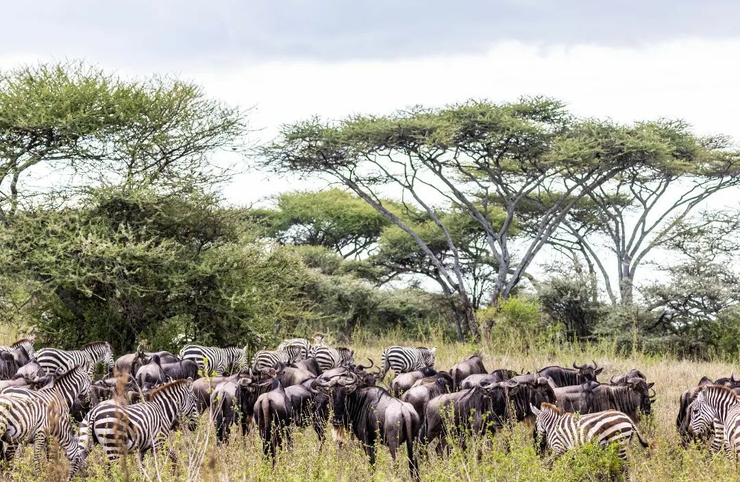 Whatsapp Image 2025 11 13 At 4.16.17 Am