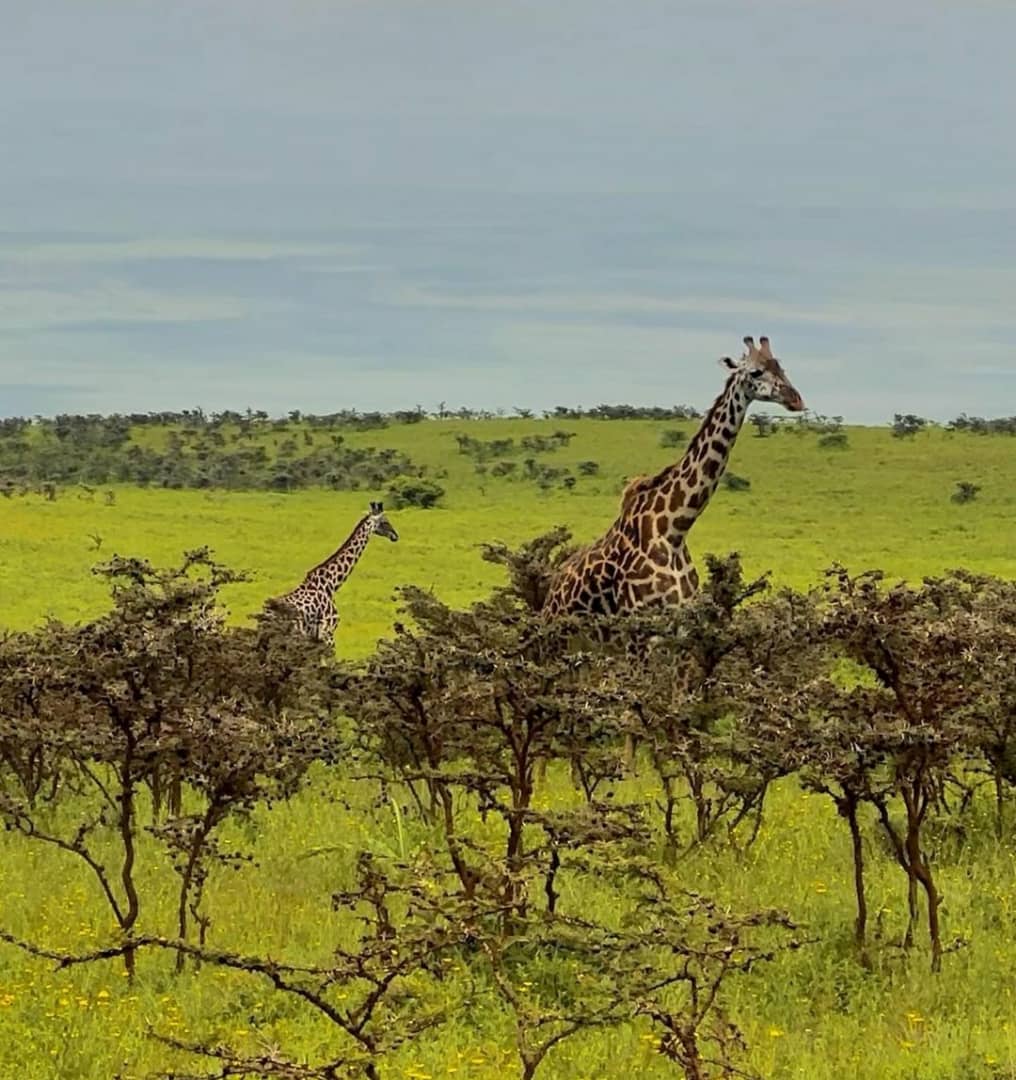 Whatsapp Image 2025 11 13 At 4.16.18 Am (10)