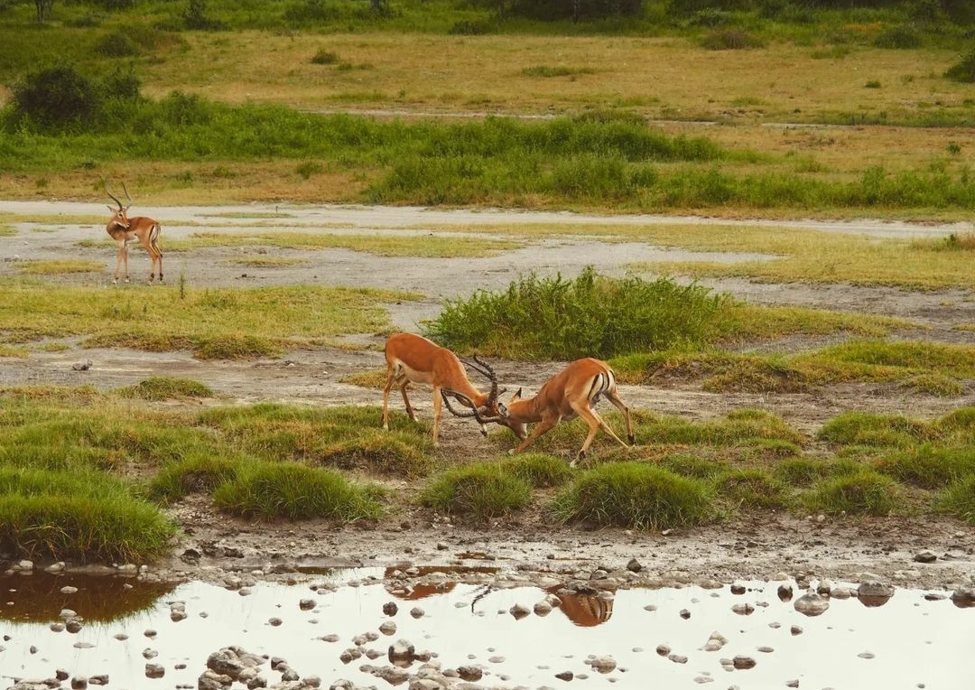 Whatsapp Image 2025 11 13 At 4.16.18 Am (11)