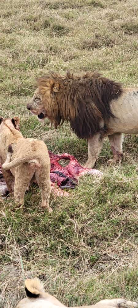 Whatsapp Image 2025 11 13 At 4.16.18 Am (17)