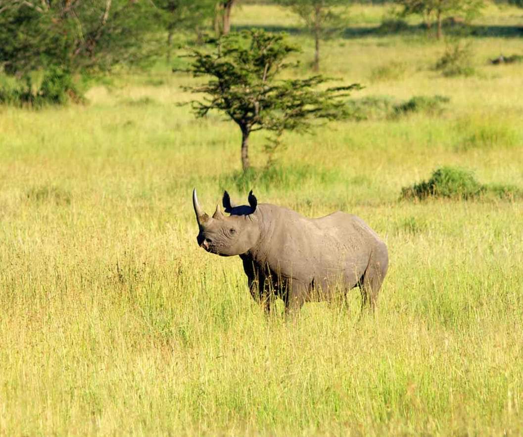 Whatsapp Image 2025 11 13 At 4.16.18 Am (18)