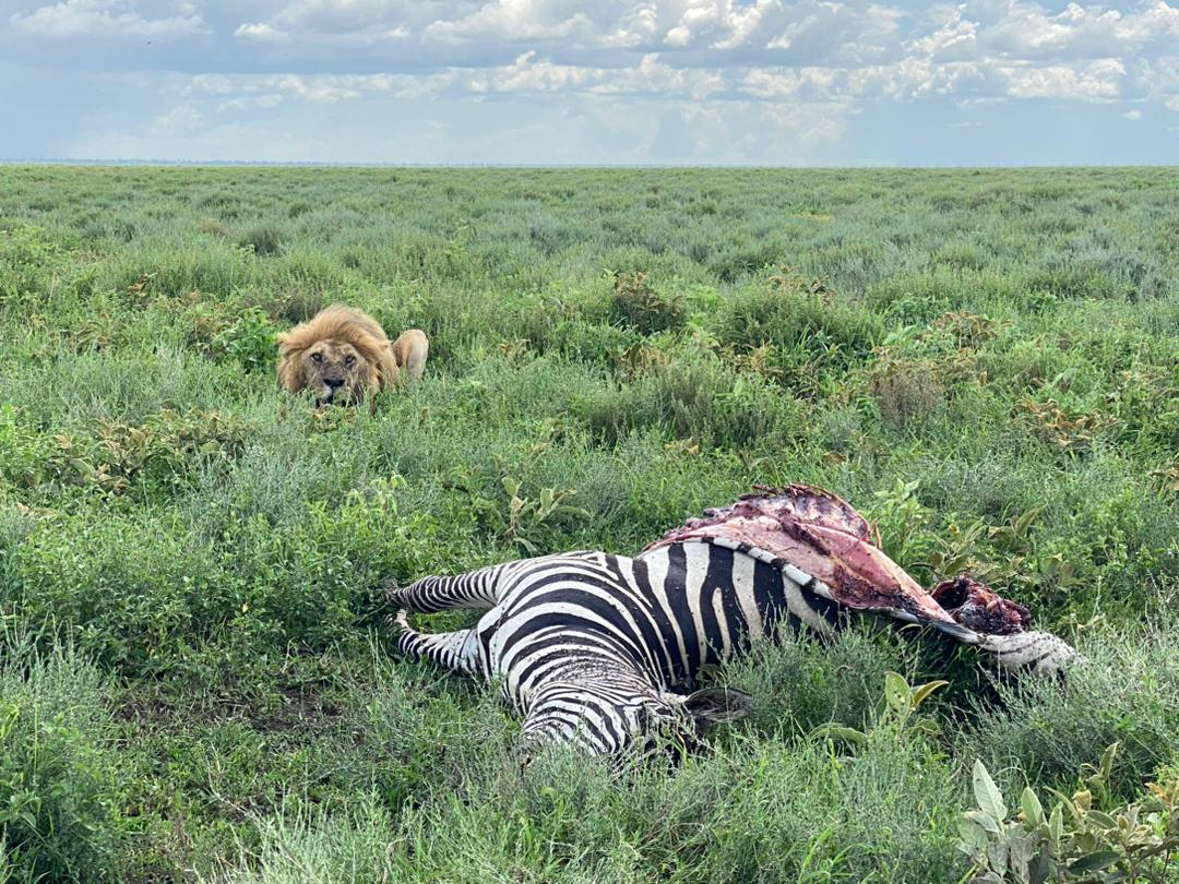 Whatsapp Image 2025 11 13 At 4.16.18 Am (20)