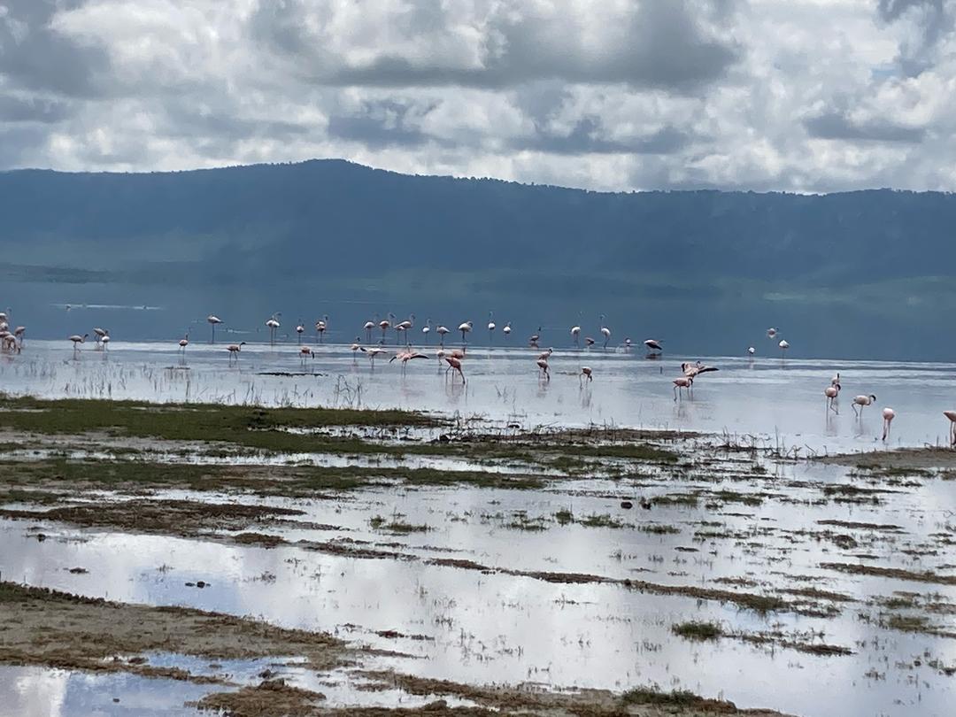 Whatsapp Image 2025 11 13 At 4.16.18 Am (26)