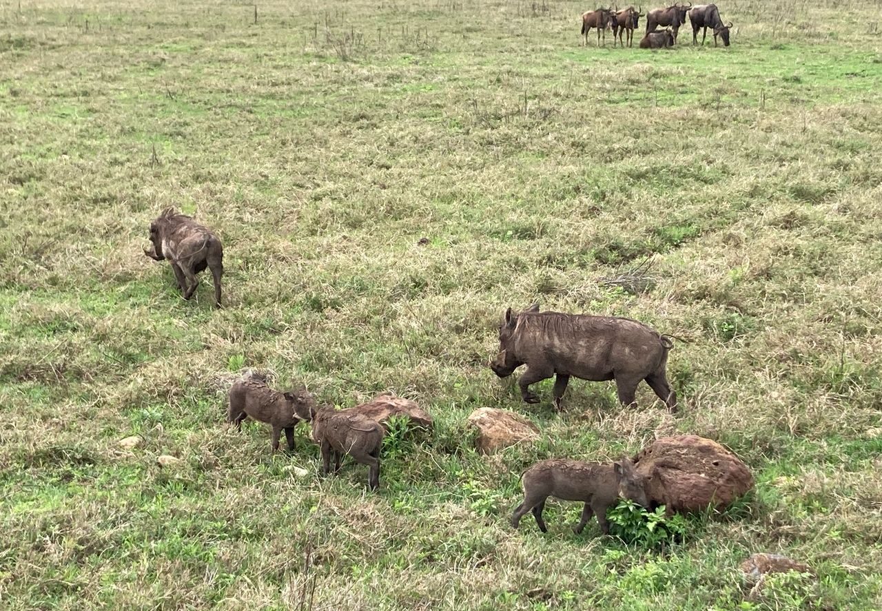 9-Day Exclusive Private Journey: Luxury, Legacy & Wildlife Encounters