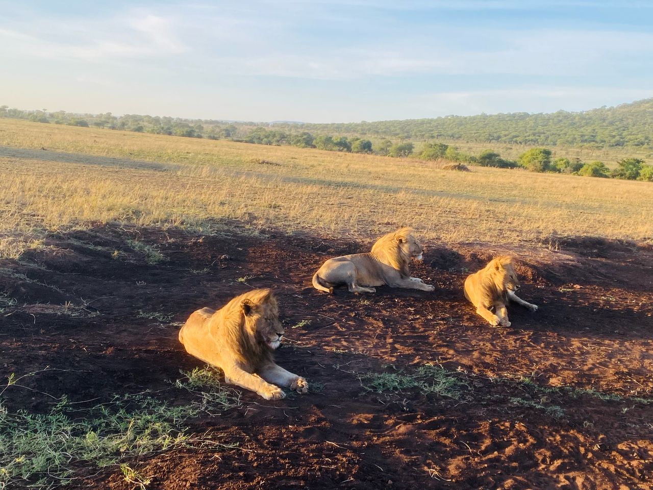 Whatsapp Image 2025 11 13 At 4.16.18 Am (29)