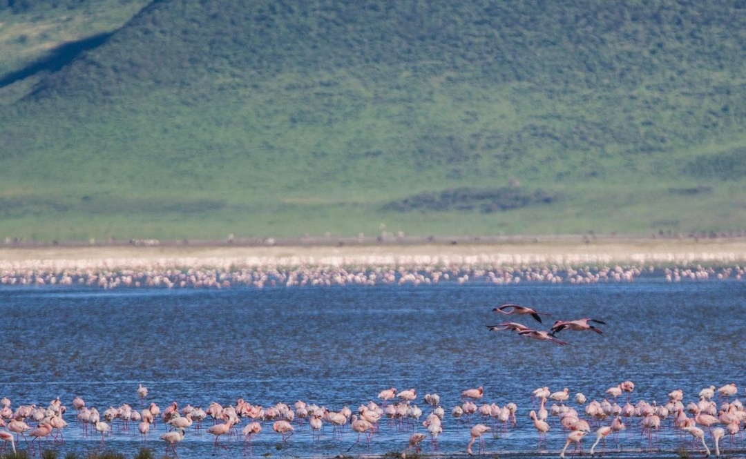 Whatsapp Image 2025 11 13 At 4.16.18 Am (3)