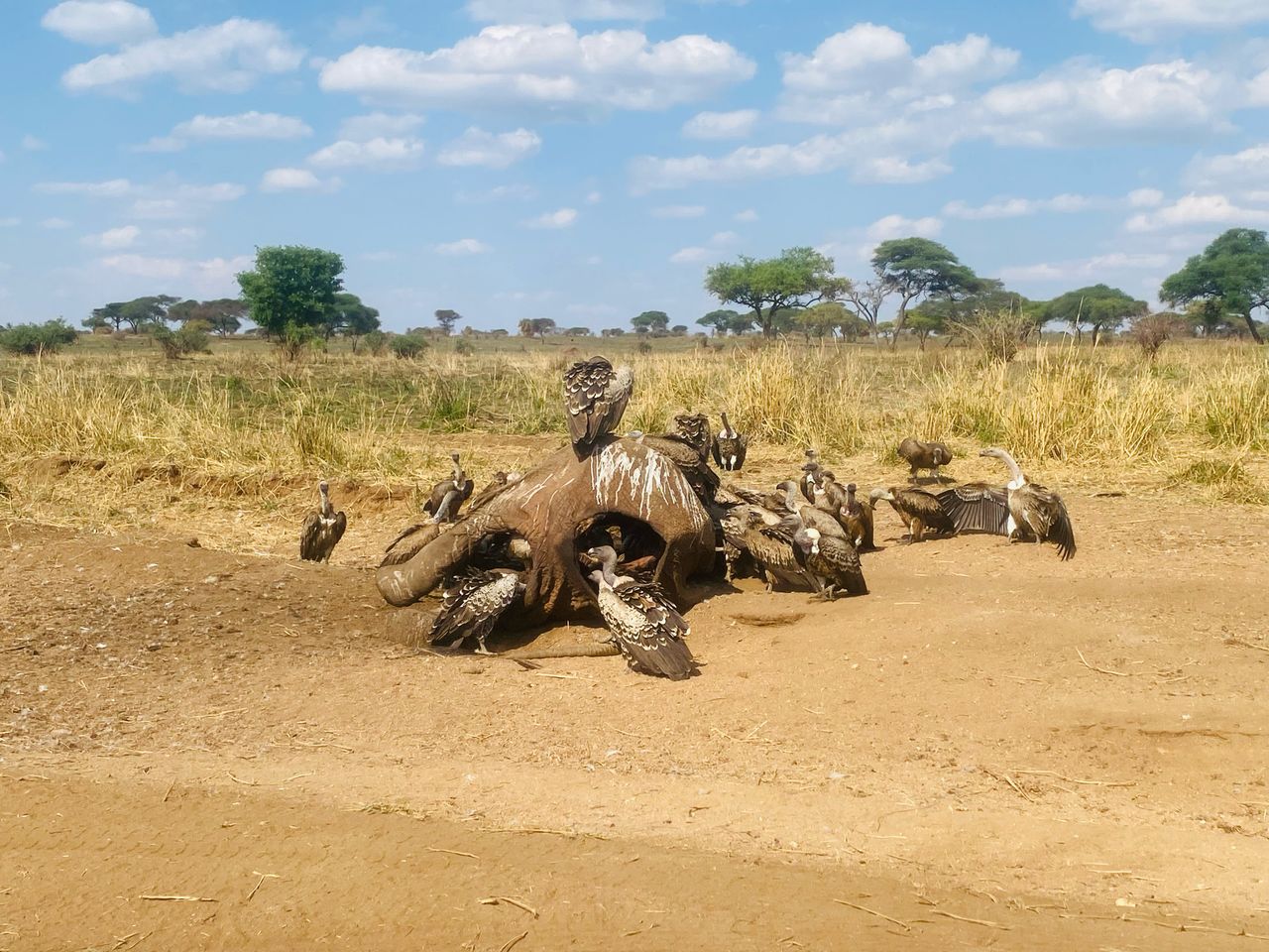 Whatsapp Image 2025 11 13 At 4.16.18 Am (30)