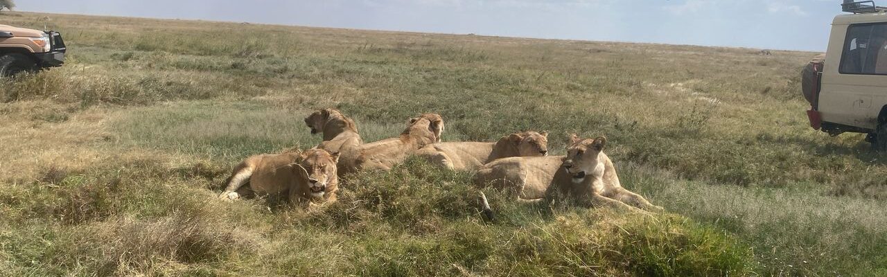 Whatsapp Image 2025 11 13 At 4.16.18 Am (32)