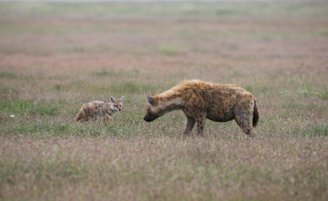 Whatsapp Image 2025 11 13 At 4.16.18 Am (4)