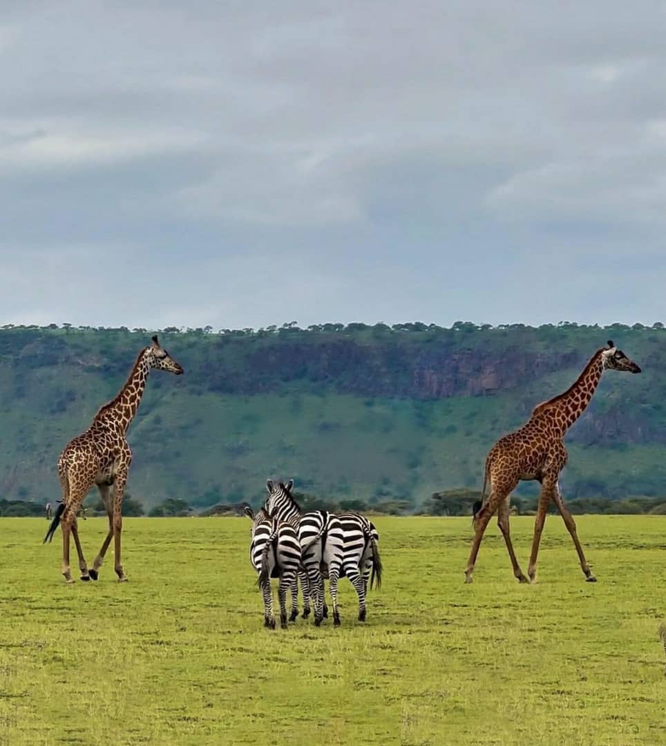 Whatsapp Image 2025 11 13 At 4.16.18 Am (6)