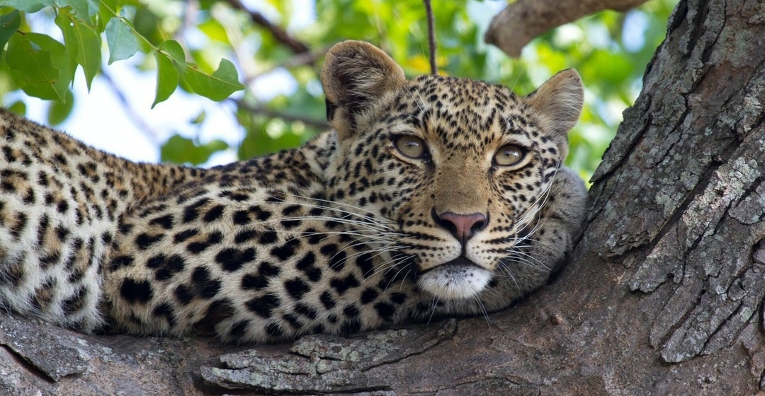 Whatsapp Image 2025 11 13 At 4.16.18 Am