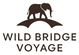 Wild Bridge Voyage