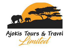 Ajokis Tours and Travel
