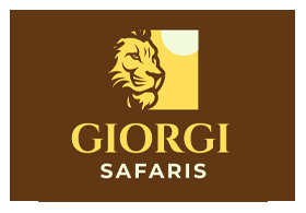 Giorgi Safaris