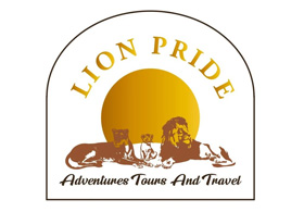 Lion Pride Adventures