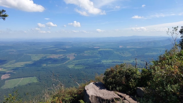 4-Day Luxury Kruger Park and Panorama Route