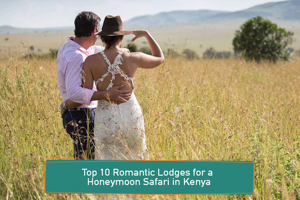 Top 10 Romantic Lodges for a Honeymoon Safari in Kenya