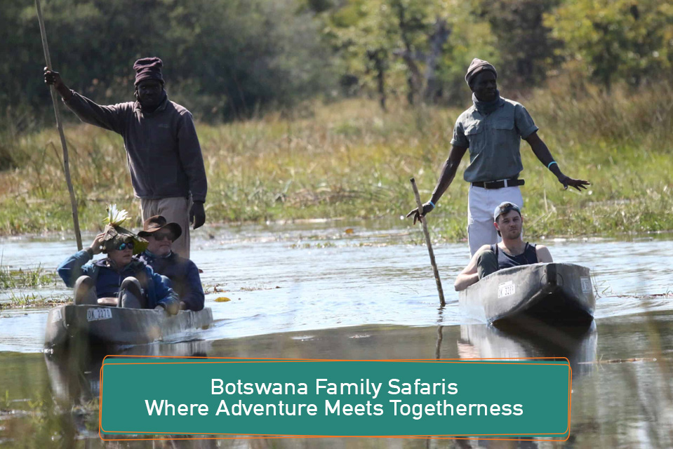Botswana Family Safaris: Where Adventure Meets Togetherness