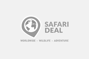 Adventure Safari